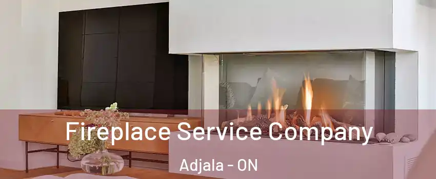  Fireplace Service Company Adjala - ON
