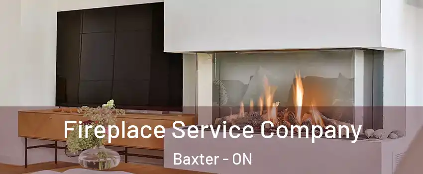  Fireplace Service Company Baxter - ON