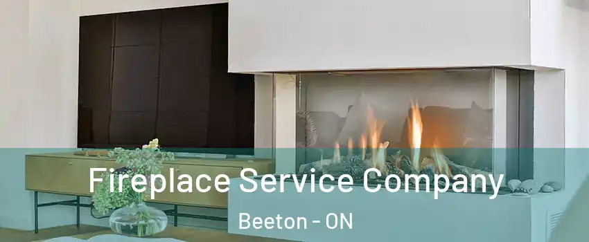  Fireplace Service Company Beeton - ON