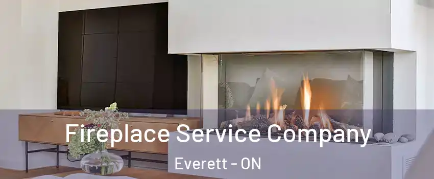  Fireplace Service Company Everett - ON