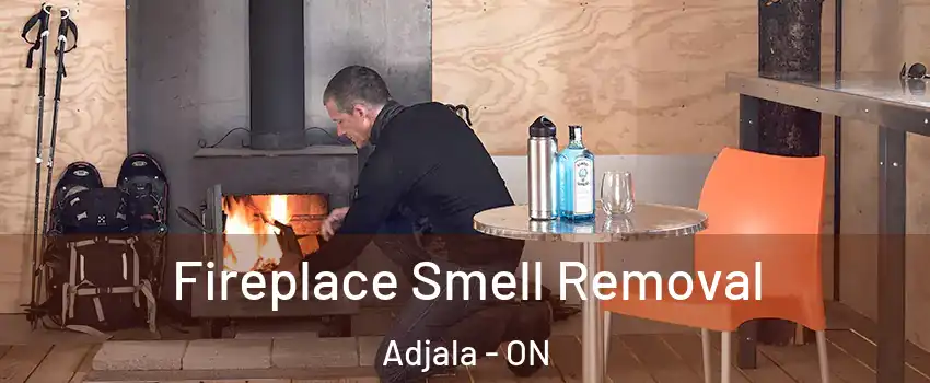  Fireplace Smell Removal Adjala - ON