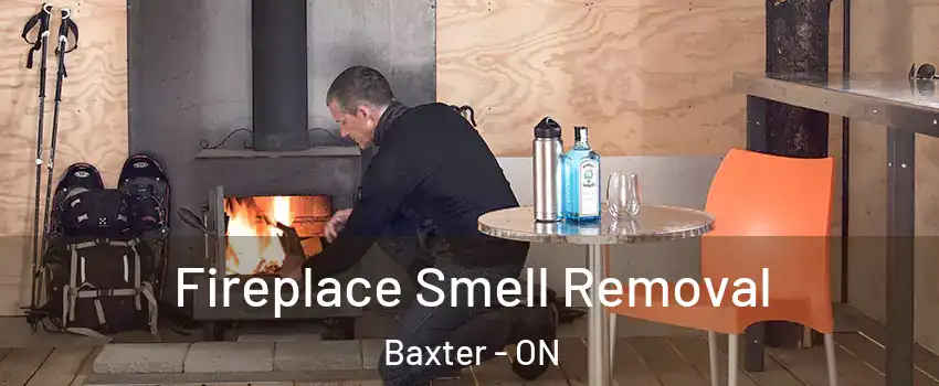  Fireplace Smell Removal Baxter - ON