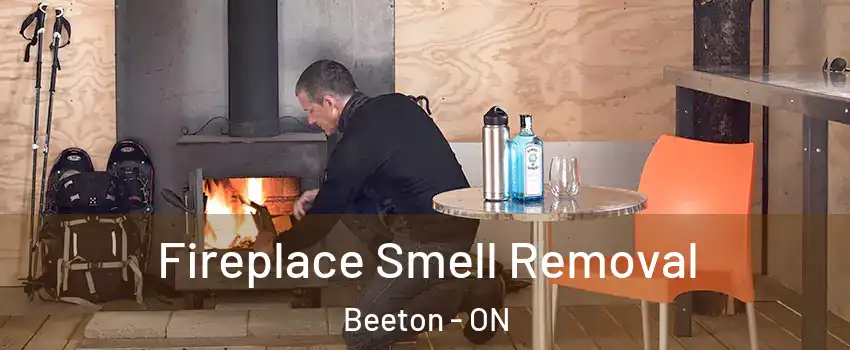  Fireplace Smell Removal Beeton - ON