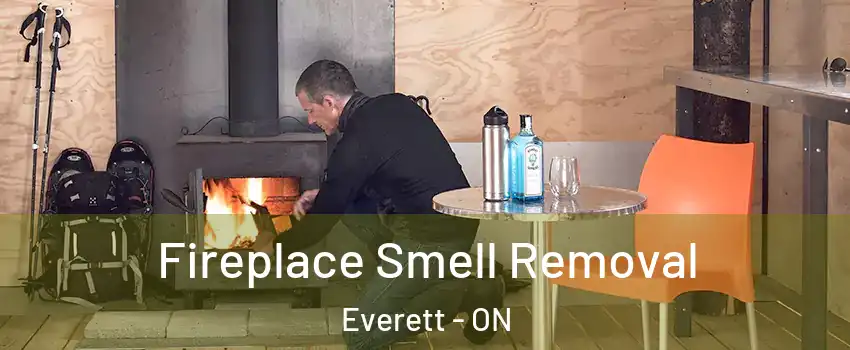  Fireplace Smell Removal Everett - ON