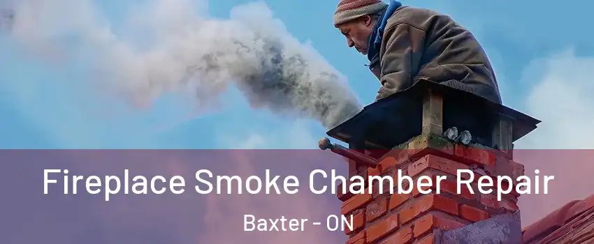  Fireplace Smoke Chamber Repair Baxter - ON