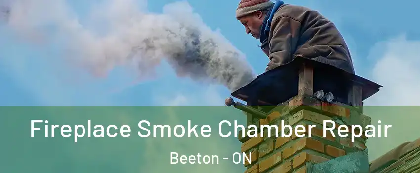  Fireplace Smoke Chamber Repair Beeton - ON