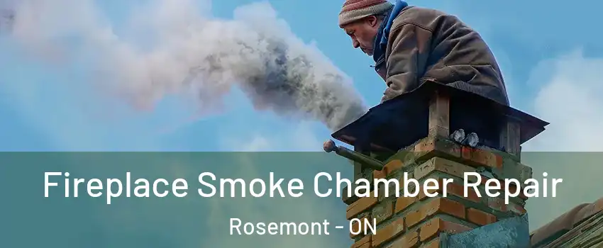  Fireplace Smoke Chamber Repair Rosemont - ON