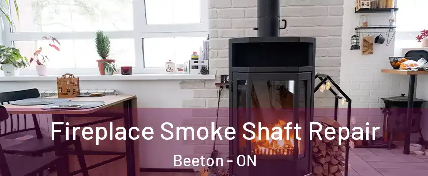  Fireplace Smoke Shaft Repair Beeton - ON
