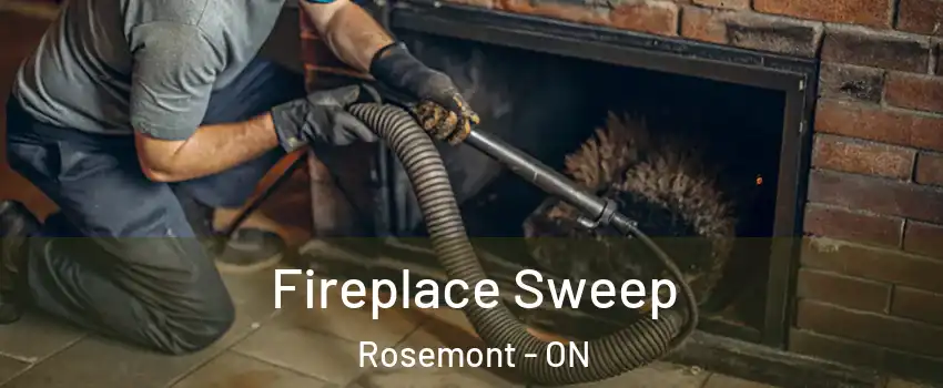  Fireplace Sweep Rosemont - ON