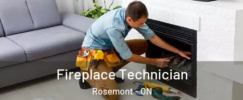  Fireplace Technician Rosemont - ON