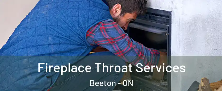  Fireplace Throat Services Beeton - ON