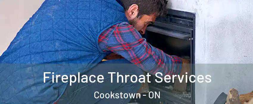  Fireplace Throat Services Cookstown - ON