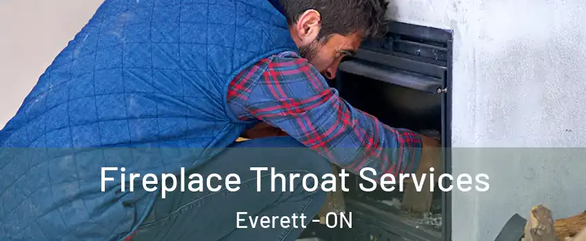  Fireplace Throat Services Everett - ON