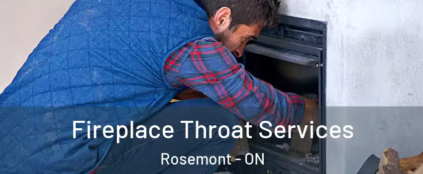  Fireplace Throat Services Rosemont - ON