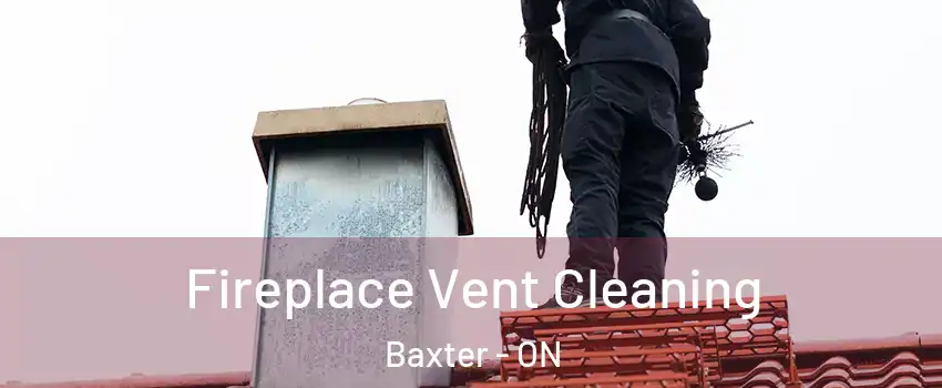  Fireplace Vent Cleaning Baxter - ON