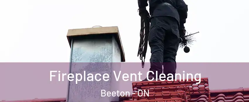  Fireplace Vent Cleaning Beeton - ON