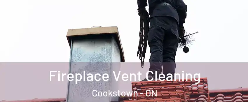  Fireplace Vent Cleaning Cookstown - ON