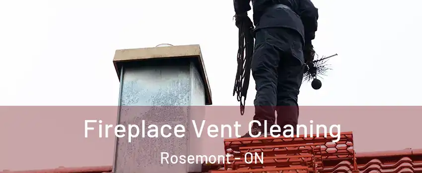  Fireplace Vent Cleaning Rosemont - ON