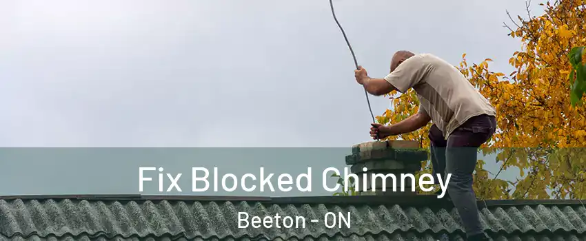  Fix Blocked Chimney Beeton - ON