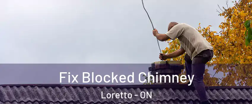  Fix Blocked Chimney Loretto - ON
