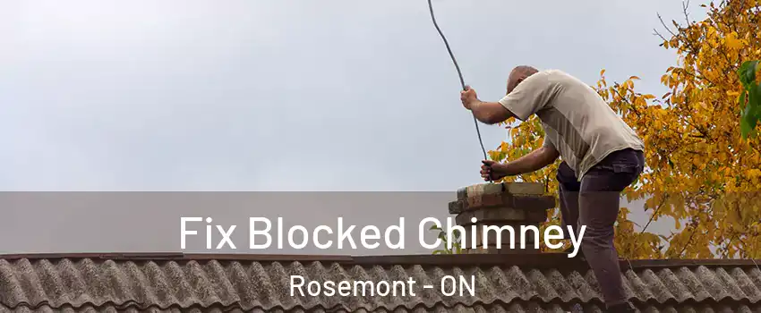  Fix Blocked Chimney Rosemont - ON