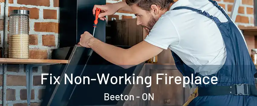  Fix Non-Working Fireplace Beeton - ON