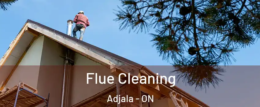  Flue Cleaning Adjala - ON