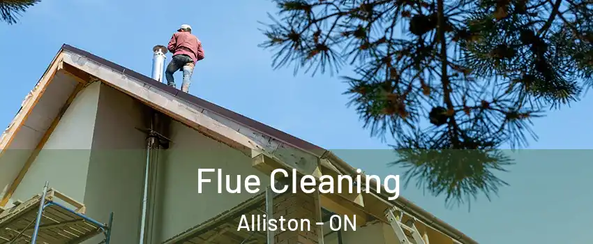  Flue Cleaning Alliston - ON