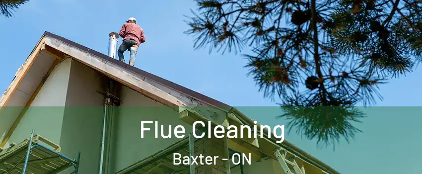  Flue Cleaning Baxter - ON