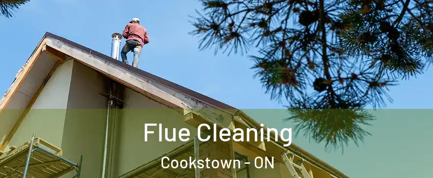  Flue Cleaning Cookstown - ON