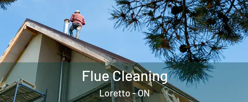  Flue Cleaning Loretto - ON