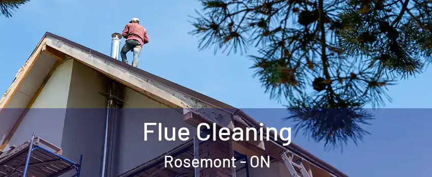  Flue Cleaning Rosemont - ON