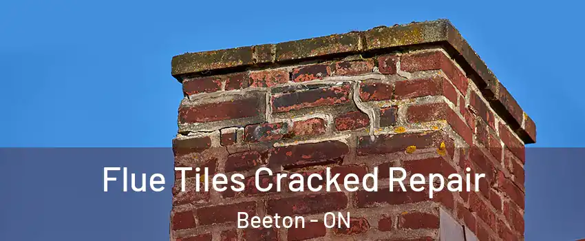  Flue Tiles Cracked Repair Beeton - ON