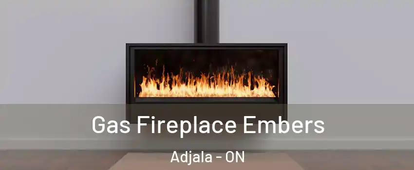  Gas Fireplace Embers Adjala - ON