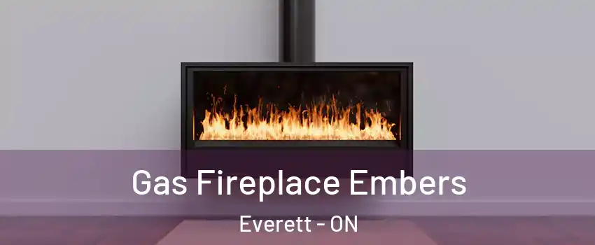  Gas Fireplace Embers Everett - ON