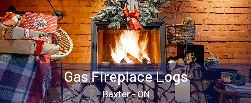  Gas Fireplace Logs Baxter - ON
