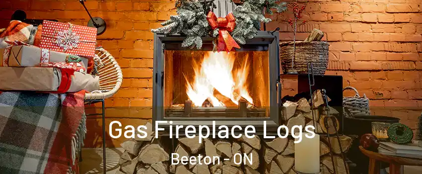  Gas Fireplace Logs Beeton - ON