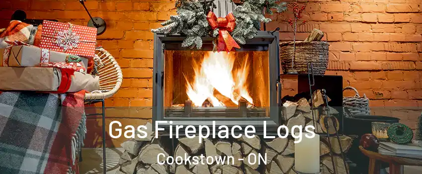  Gas Fireplace Logs Cookstown - ON