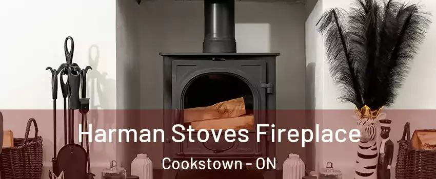  Harman Stoves Fireplace Cookstown - ON