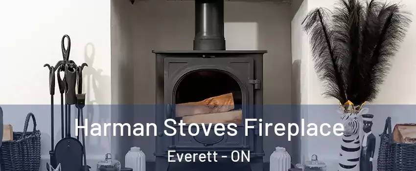  Harman Stoves Fireplace Everett - ON