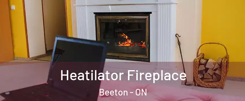  Heatilator Fireplace Beeton - ON