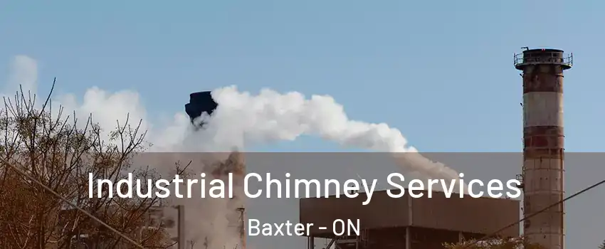  Industrial Chimney Services Baxter - ON