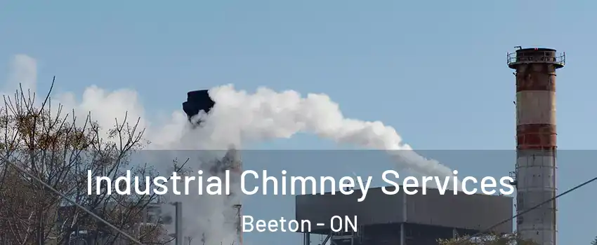 Industrial Chimney Services Beeton - ON