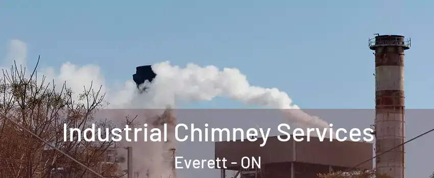  Industrial Chimney Services Everett - ON