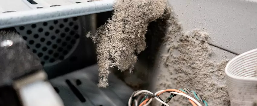 Clogged Dryer Vent Lint Cleaning in Alliston, Ontario