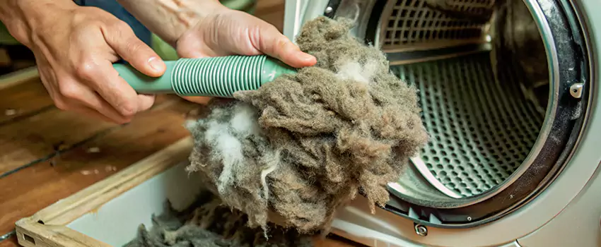 Best Dryer Lint Removal Company in Alliston, Ontario