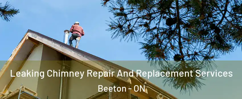  Leaking Chimney Repair And Replacement Services Beeton - ON