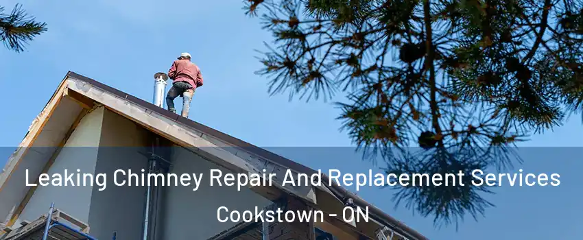  Leaking Chimney Repair And Replacement Services Cookstown - ON
