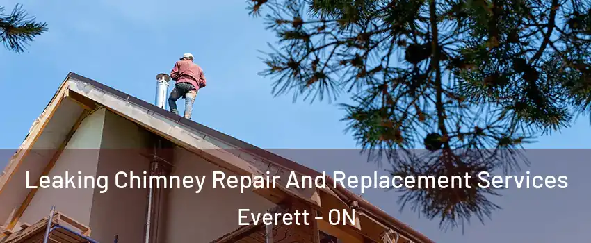  Leaking Chimney Repair And Replacement Services Everett - ON