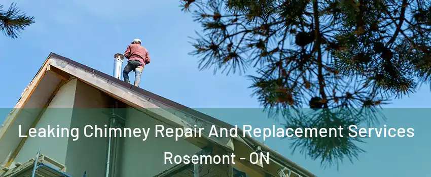  Leaking Chimney Repair And Replacement Services Rosemont - ON